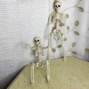 2 Plastic Posable Skeletons Halloween Decor New! 15" tall